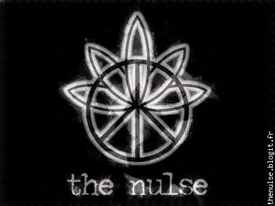 Le logo de "The Nulse"